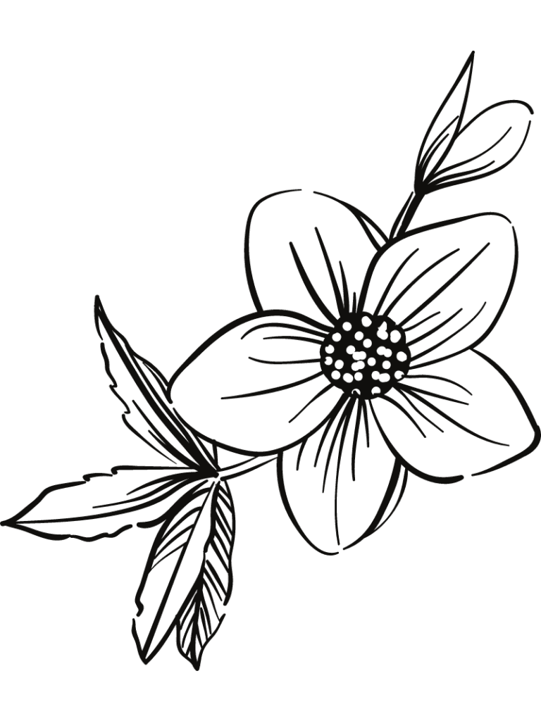 Plantillas para tus diseños de joyería